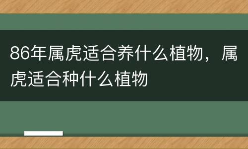 86年属虎适合养什么植物，属虎适合种什么植物