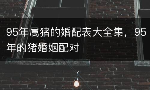 95年属猪的婚配表大全集，95年的猪婚姻配对