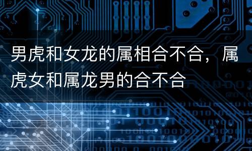男虎和女龙的属相合不合，属虎女和属龙男的合不合