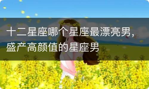 十二星座哪个星座最漂亮男，盛产高颜值的星座男