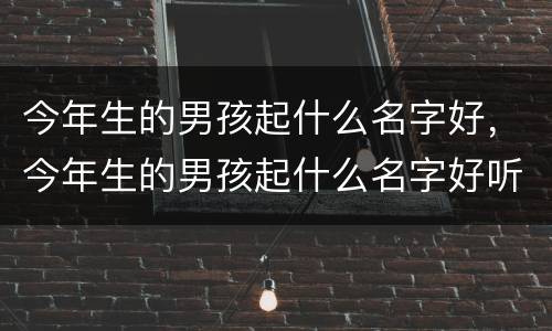 今年生的男孩起什么名字好，今年生的男孩起什么名字好听