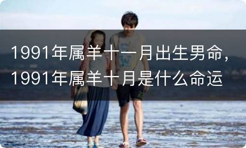 1991年属羊十一月出生男命，1991年属羊十月是什么命运