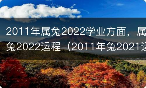 2011年属兔2022学业方面，属兔2022运程（2011年兔2021运势及运程）