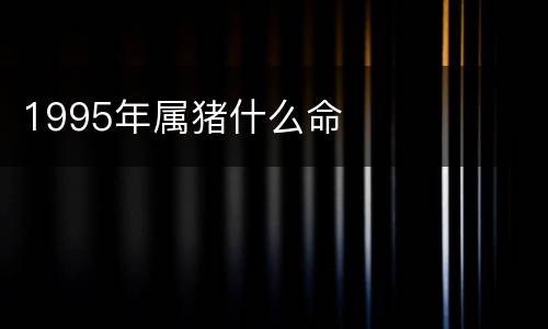 1995年属猪什么命