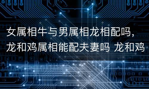 女属相牛与男属相龙相配吗，龙和鸡属相能配夫妻吗 龙和鸡相配吗