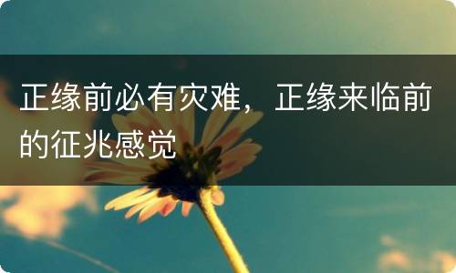 正缘前必有灾难，正缘来临前的征兆感觉