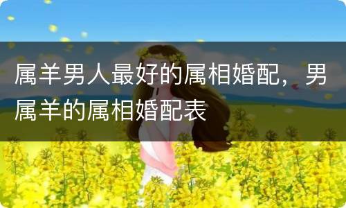 属羊男人最好的属相婚配，男属羊的属相婚配表