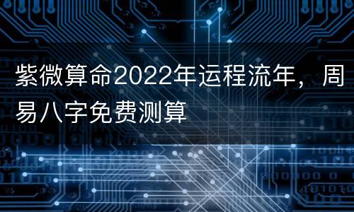 紫微算命2022年运程流年，周易八字免费测算