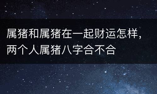 属猪和属猪在一起财运怎样，两个人属猪八字合不合