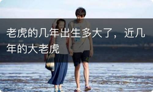老虎的几年出生多大了，近几年的大老虎