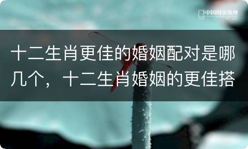 十二生肖更佳的婚姻配对是哪几个，十二生肖婚姻的更佳搭配