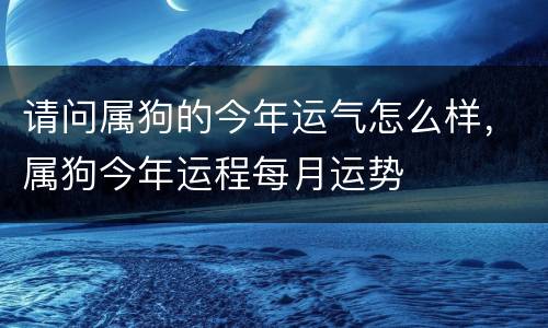 请问属狗的今年运气怎么样，属狗今年运程每月运势
