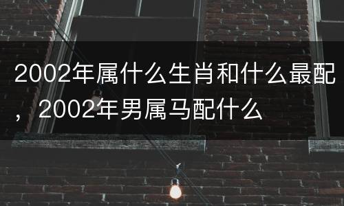 2002年属什么生肖和什么最配，2002年男属马配什么
