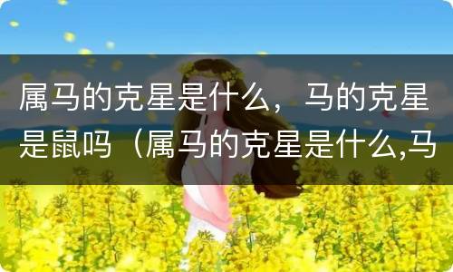 属马的克星是什么，马的克星是鼠吗（属马的克星是什么,马的克星是鼠吗好吗）