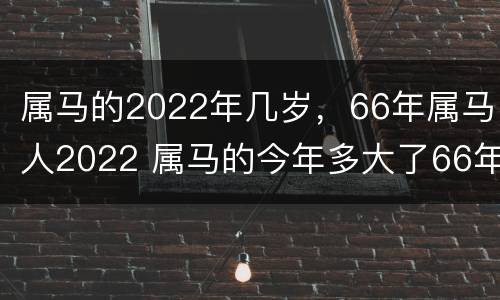 属马的2022年几岁，66年属马人2022 属马的今年多大了66年