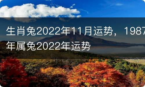 生肖兔2022年11月运势，1987年属兔2022年运势