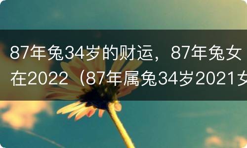 87年兔34岁的财运，87年兔女在2022（87年属兔34岁2021女）