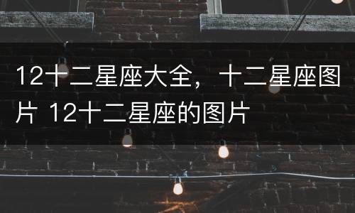 12十二星座大全，十二星座图片 12十二星座的图片
