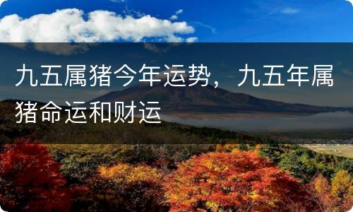 九五属猪今年运势，九五年属猪命运和财运