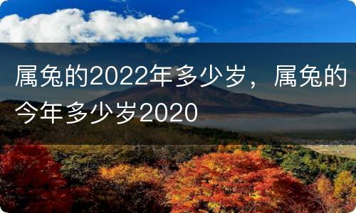属兔的2022年多少岁，属兔的今年多少岁2020
