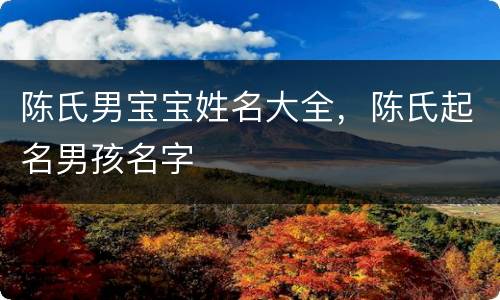 陈氏男宝宝姓名大全，陈氏起名男孩名字