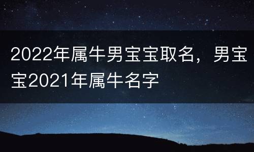 2022年属牛男宝宝取名，男宝宝2021年属牛名字