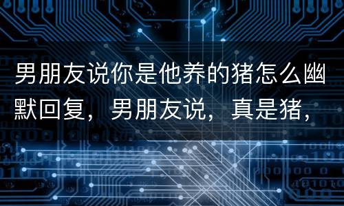 男朋友说你是他养的猪怎么幽默回复，男朋友说，真是猪，怎么回复他？