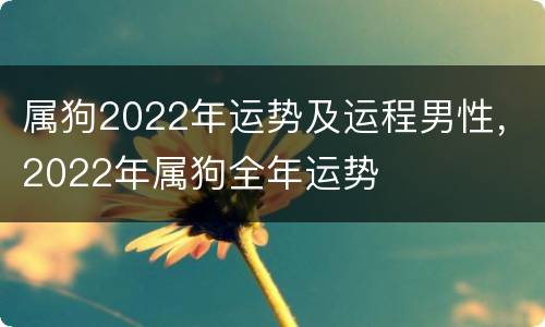 属狗2022年运势及运程男性，2022年属狗全年运势