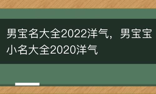 男宝名大全2022洋气，男宝宝小名大全2020洋气