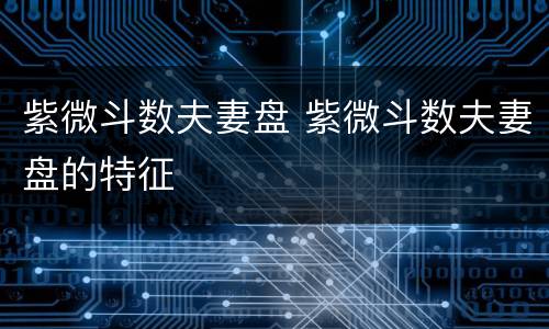 紫微斗数夫妻盘 紫微斗数夫妻盘的特征