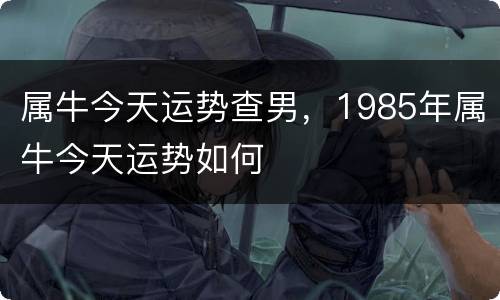 属牛今天运势查男，1985年属牛今天运势如何