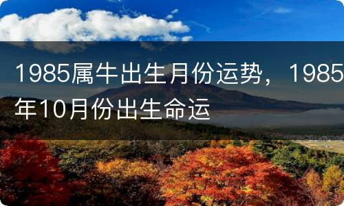 1985属牛出生月份运势，1985年10月份出生命运