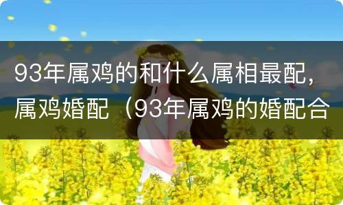 93年属鸡的和什么属相最配，属鸡婚配（93年属鸡的婚配合什么属相好）
