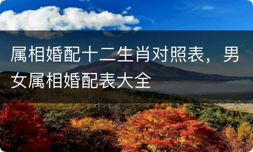 属相婚配十二生肖对照表，男女属相婚配表大全