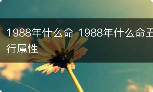 1988年什么命 1988年什么命五行属性
