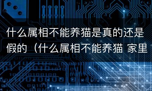 什么属相不能养猫是真的还是假的（什么属相不能养猫 家里养猫对财运好不好）