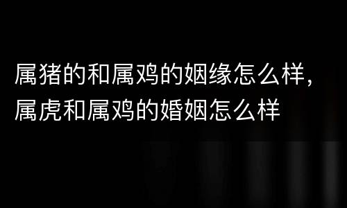 属猪的和属鸡的姻缘怎么样，属虎和属鸡的婚姻怎么样