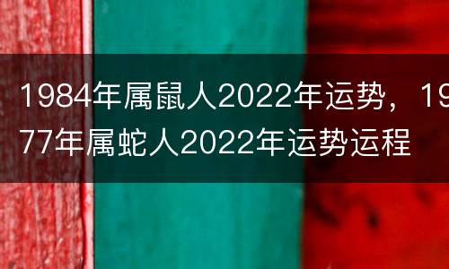 1984年属鼠人2022年运势，1977年属蛇人2022年运势运程