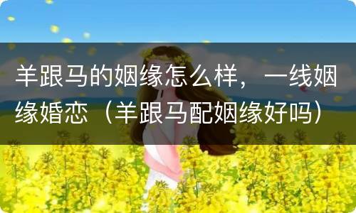 羊跟马的姻缘怎么样，一线姻缘婚恋（羊跟马配姻缘好吗）