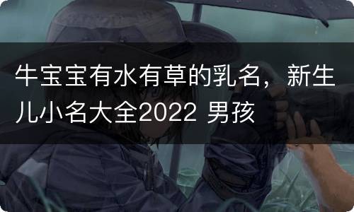 牛宝宝有水有草的乳名，新生儿小名大全2022 男孩