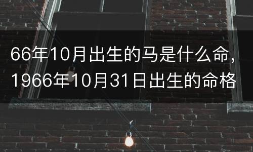 66年10月出生的马是什么命，1966年10月31日出生的命格