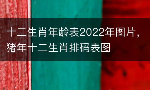 十二生肖年龄表2022年图片，猪年十二生肖排码表图