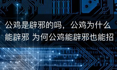 公鸡是辟邪的吗，公鸡为什么能辟邪 为何公鸡能辟邪也能招魂?