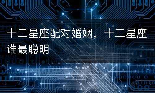 十二星座配对婚姻，十二星座谁最聪明