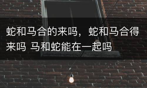蛇和马合的来吗，蛇和马合得来吗 马和蛇能在一起吗