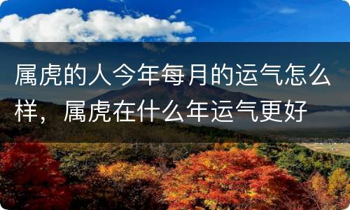 属虎的人今年每月的运气怎么样，属虎在什么年运气更好