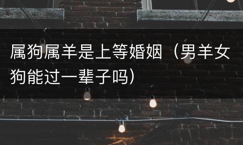 属狗属羊是上等婚姻（男羊女狗能过一辈子吗）