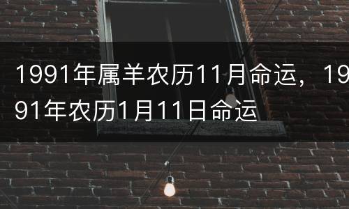 1991年属羊农历11月命运，1991年农历1月11日命运