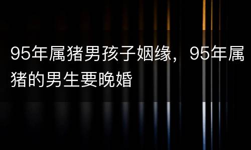 95年属猪男孩子姻缘，95年属猪的男生要晚婚