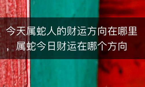 今天属蛇人的财运方向在哪里，属蛇今日财运在哪个方向